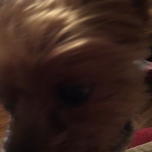 Meet your Posher, Sara